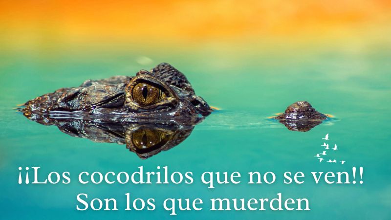 Certificación PMP - Blog